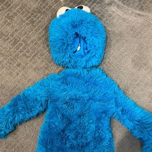 Cookie Monster Costume